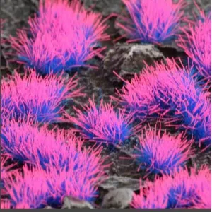 Alien Neon 4mm - Imagen 2