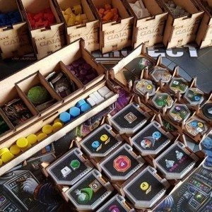 Inserto para juego Gaia (Montado)